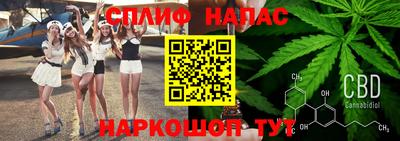 ешки Кингисепп