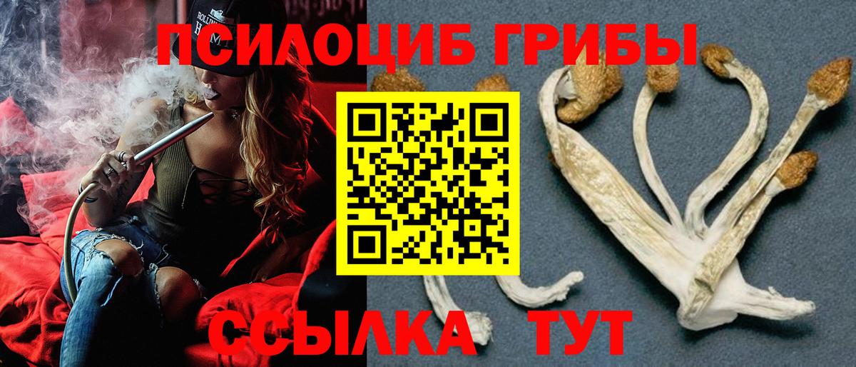 Галлюциногенные грибы мухоморы  купить  цена  Азов  Вход с VPN  Псилоцибиновые грибы ЛСД 